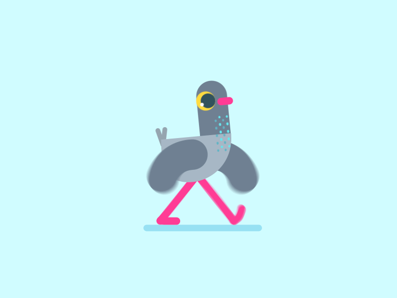 Pidgeon